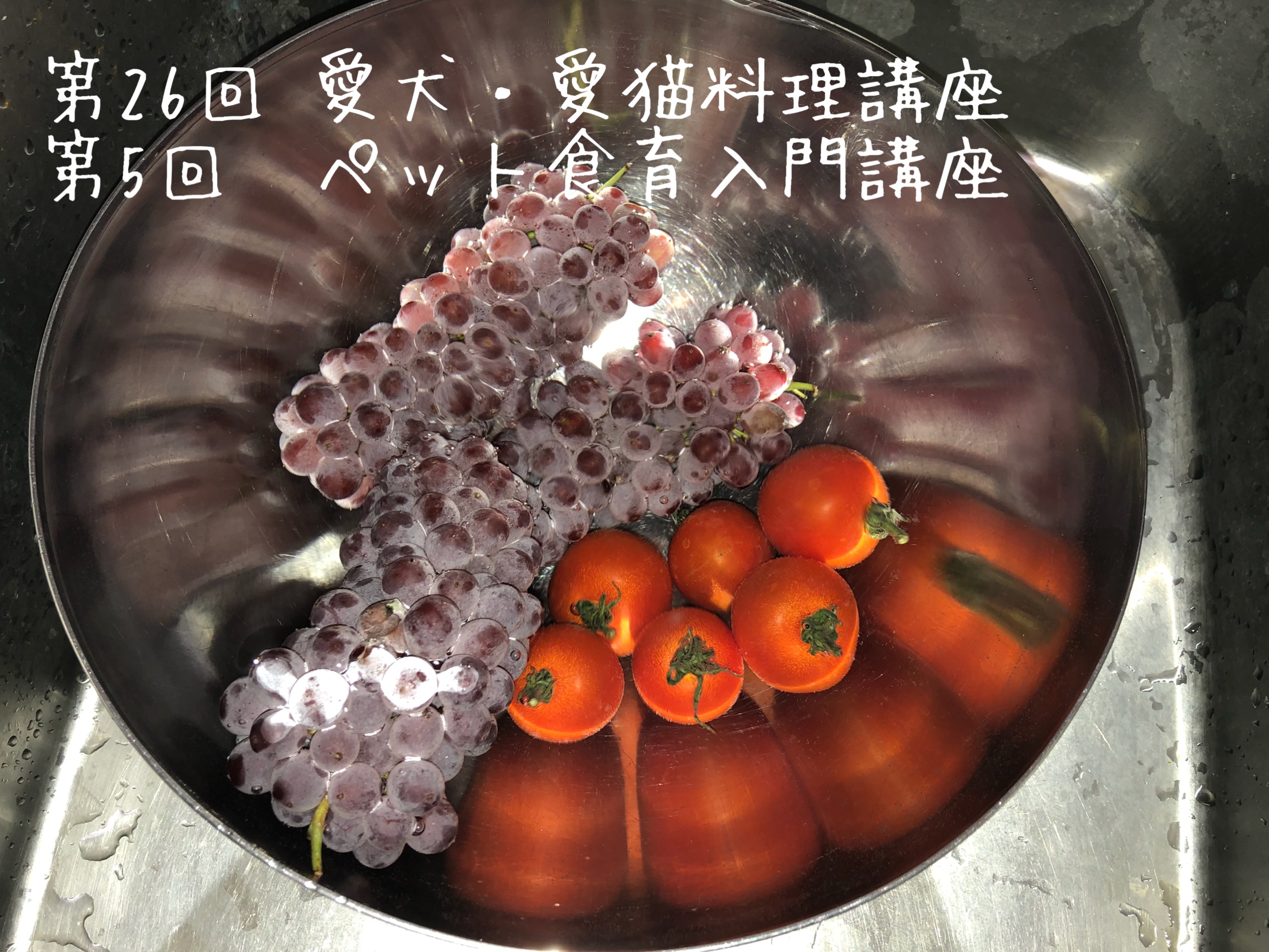 50度洗い 50度浸け 低温スチーム料理教室のご案内 ロンさんの 健康管理手帳 50度洗い 50度浸け 低温スチーム料理教室のご案内 ロンさんの 健康管理手帳