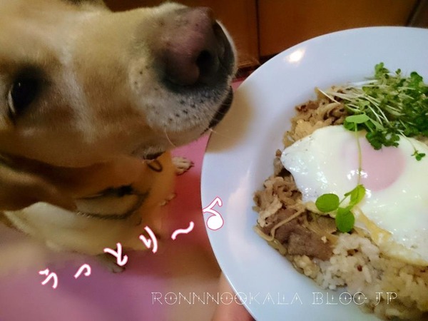 20150929　ロンご飯　肉の日　５