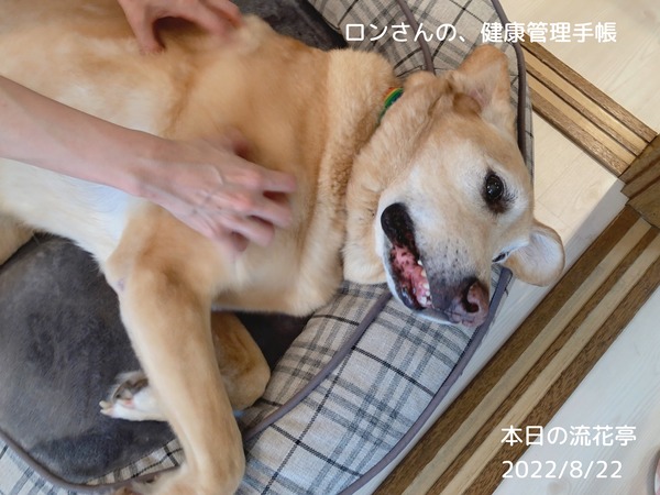 7831042B-61F0-4B51-868E-8C2109E68ECF