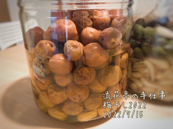 96D71174-B987-449A-A5F4-F2AC5850724B