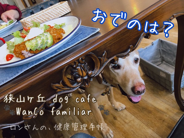 33B00C84-2AB1-495F-9026-27C3CE1420B0