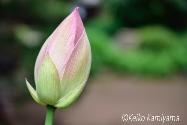47D2965C-900E-4659-B10A-C0AE38C444F2
