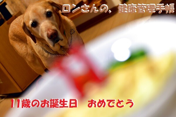 20200125 一日遅れの誕生日 9