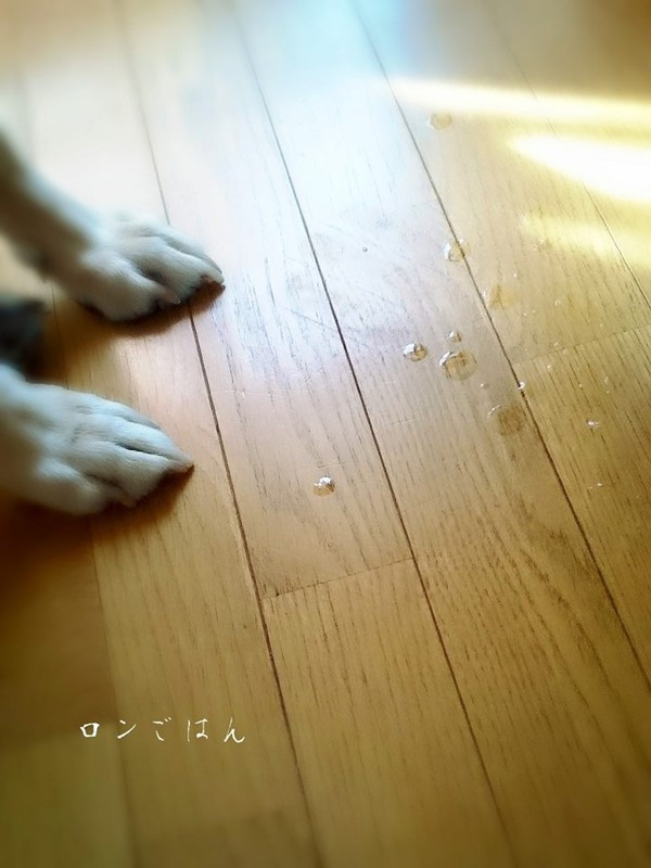 20150915 ロンご飯 スイーツ 2よだれ