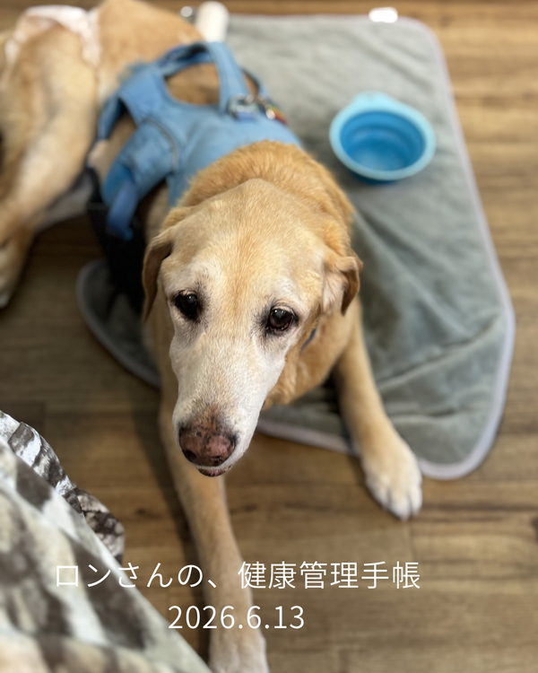 ロンさんの、健康管理手帳 - 5