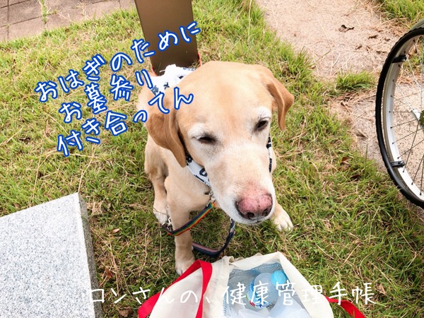 20190924 おはぎとお墓参り (25)