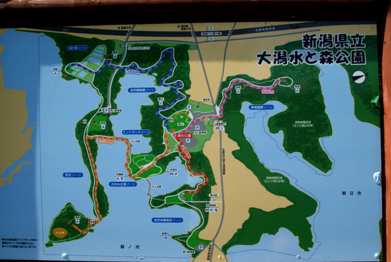 1-DSC06200