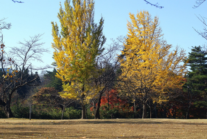 1-DSC06998
