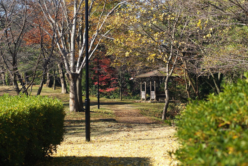 1-DSC07015