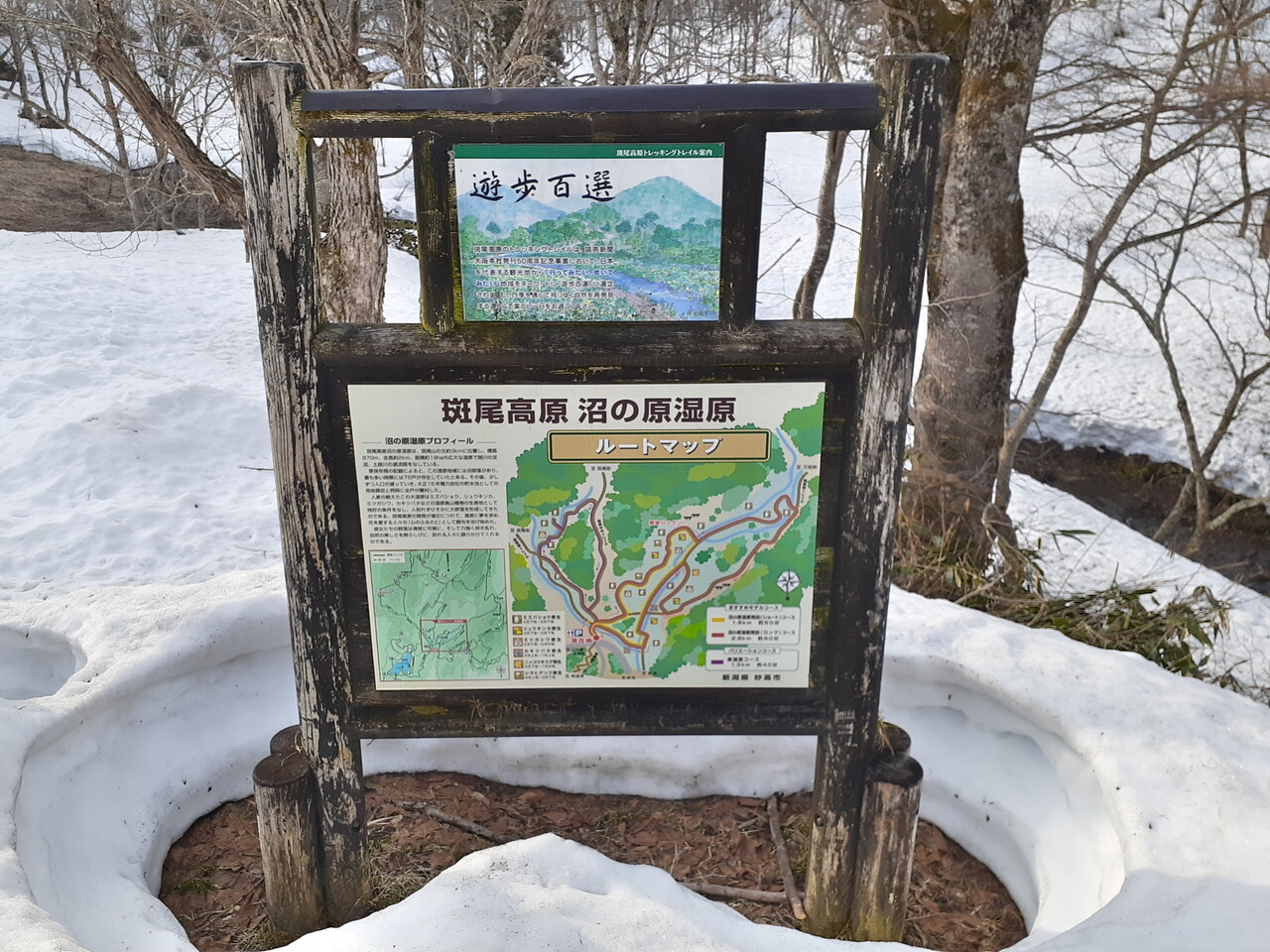 春夏秋冬 日々是好日 斑尾高原 沼の原湿原