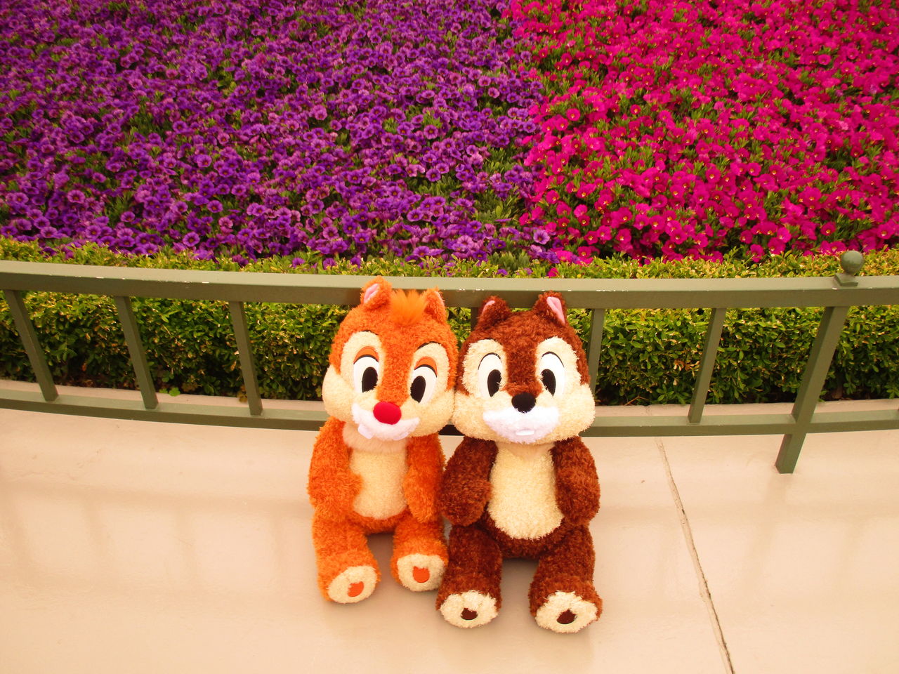 ディズニーランドに行ってきた 6月28日 その３ 追憶想花