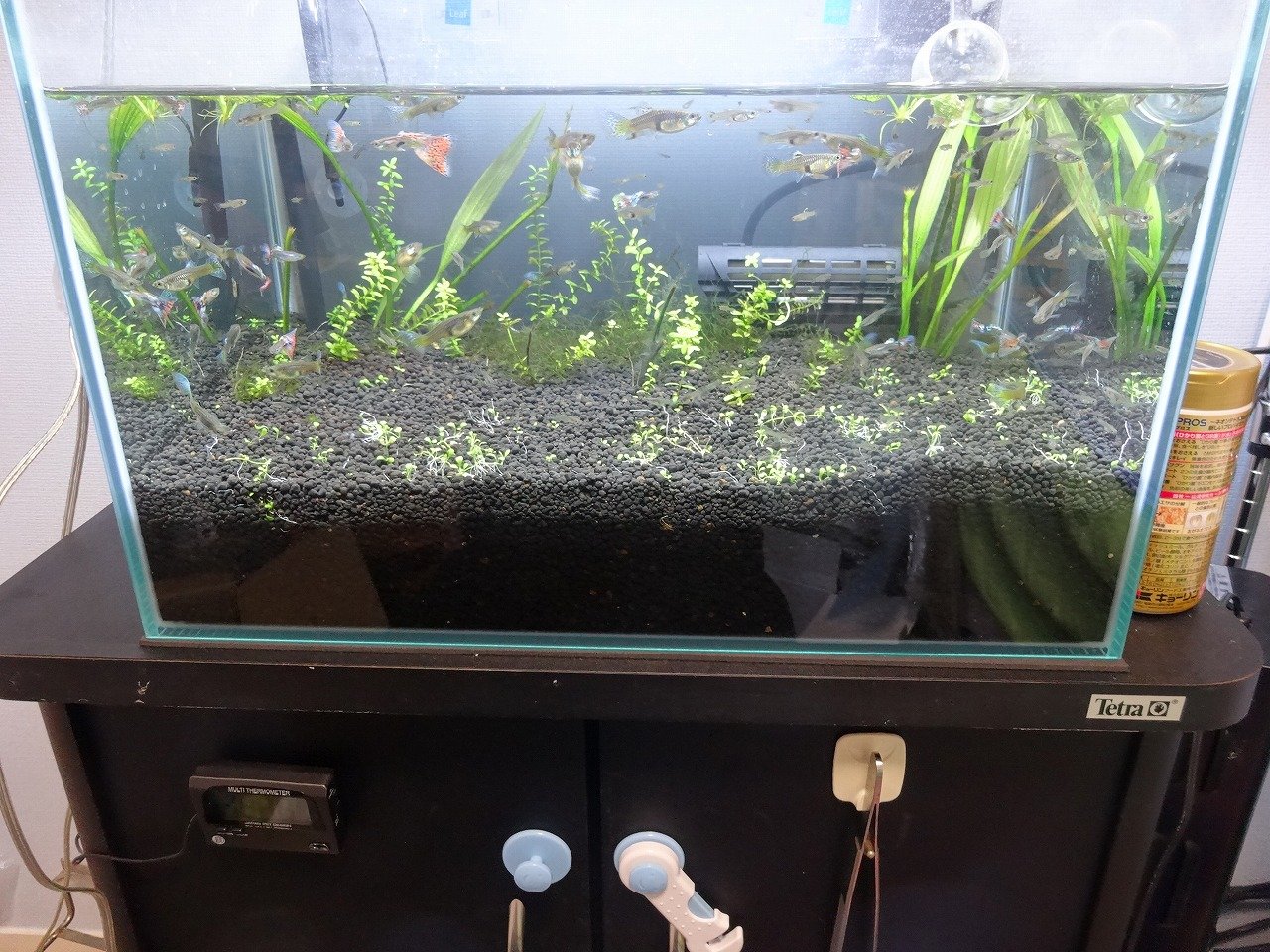 アクア用品 Aquaco Co