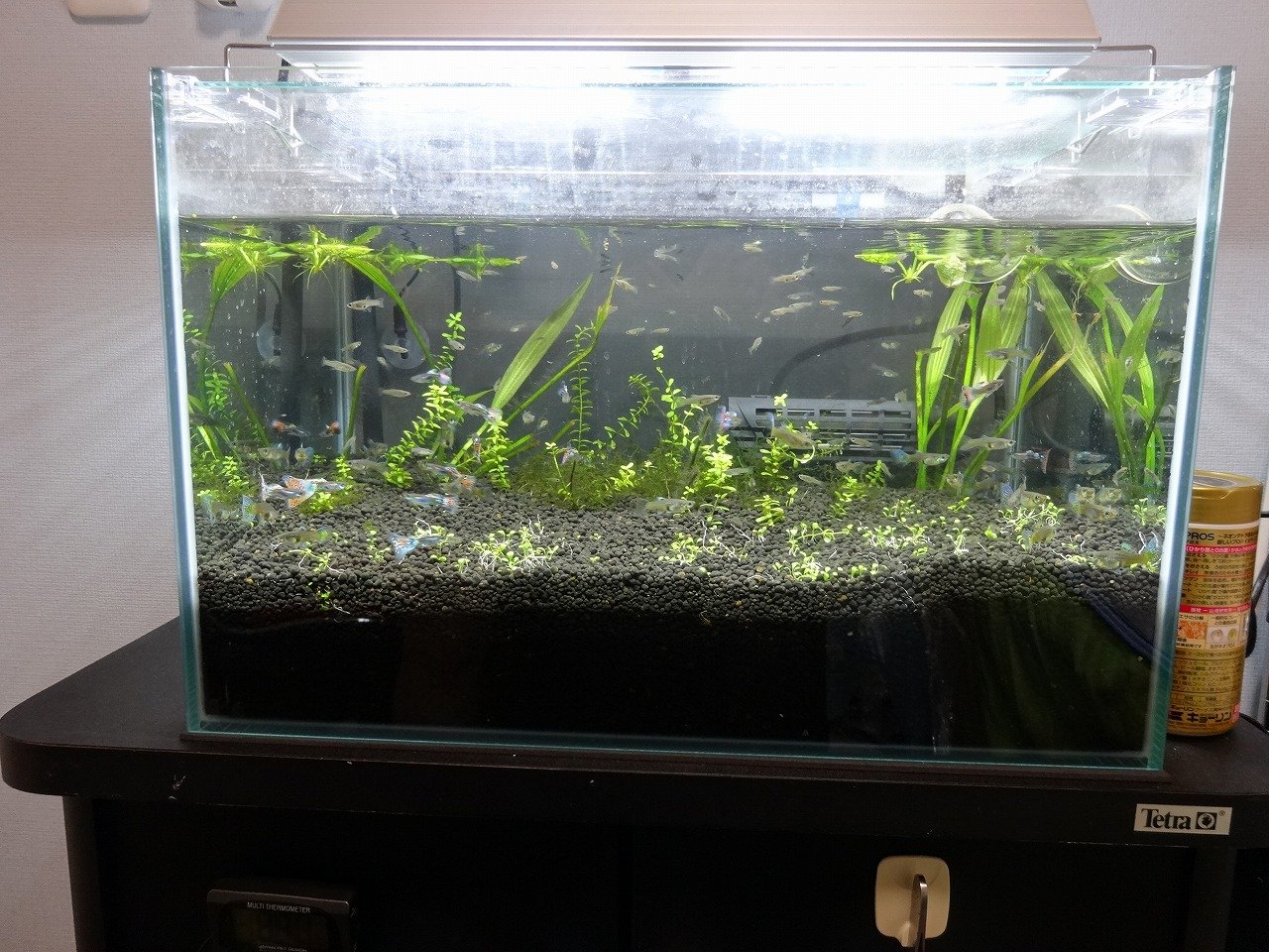 アクア用品 Aquaco Co