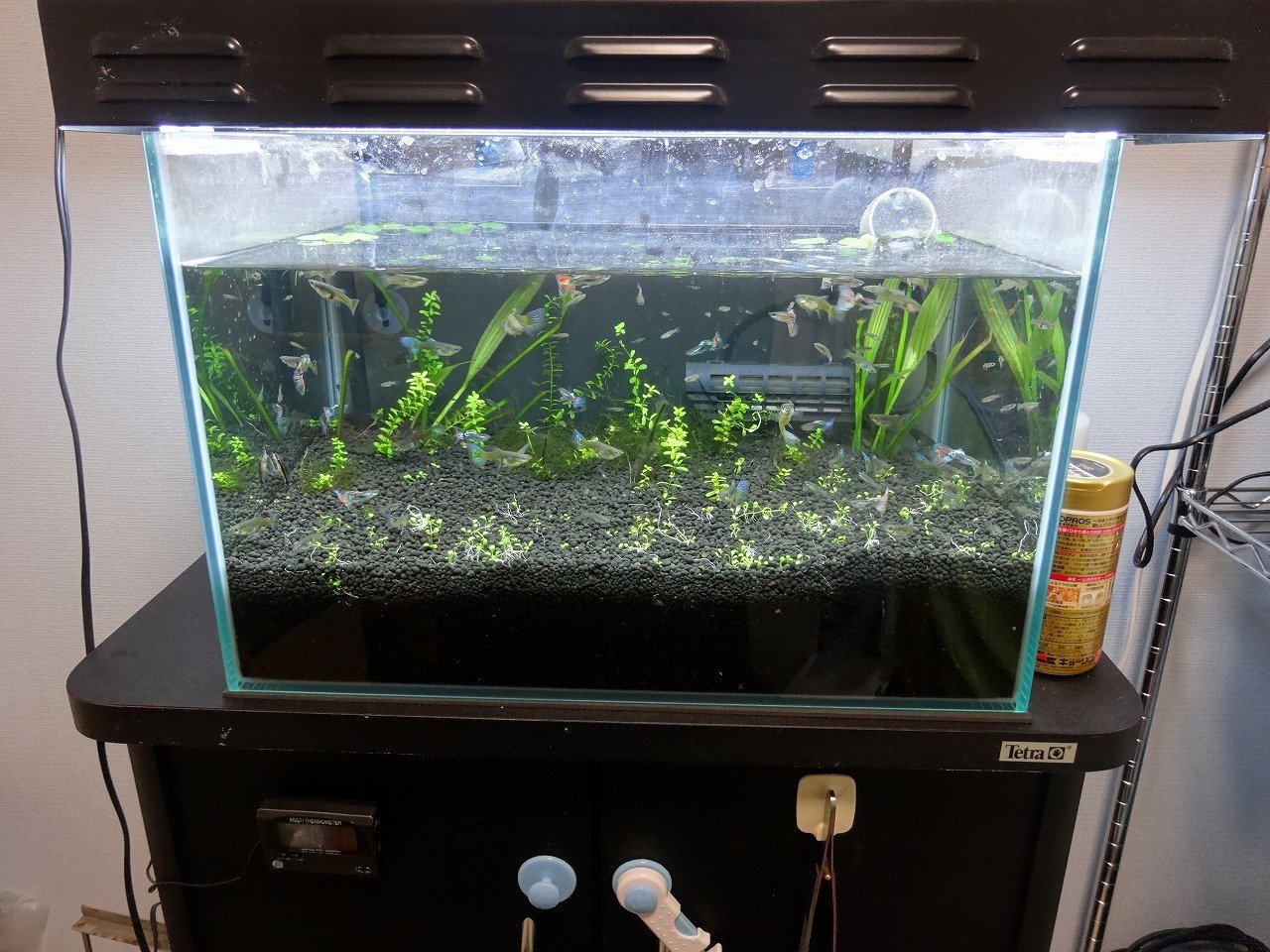 Led照明まとめから抜粋 Aquaco Co Led照明まとめから抜粋 Aquaco Co