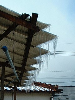 20100114