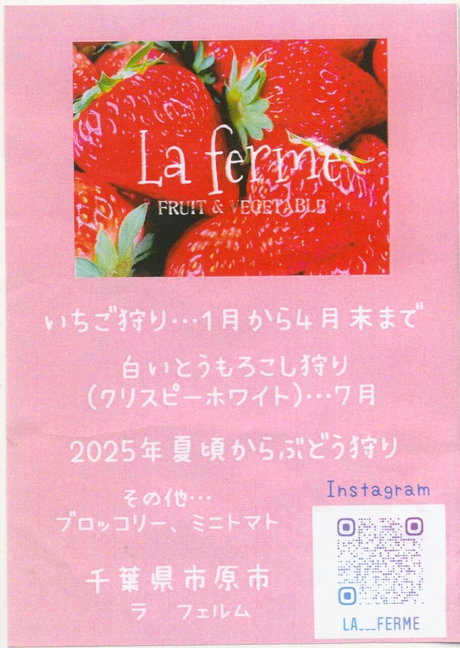 市原に凄いイチゴづくりの名人が移住してきた しかも若い 拡散したい 市原市に憲法と地方自治を活かす会