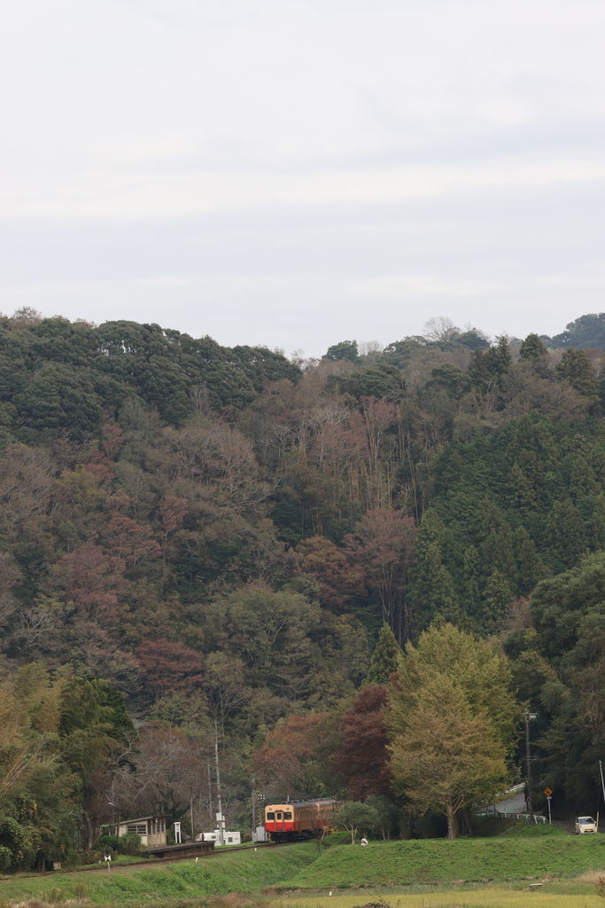 青柳 (市原市)