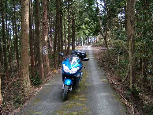 更新停滞中でｽﾏｿ Orz 我 旅の求道者也