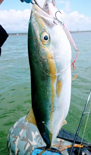 秋田港 新発売ダイソー７ftロッドテスト Ken S Industry スモールボートブログ