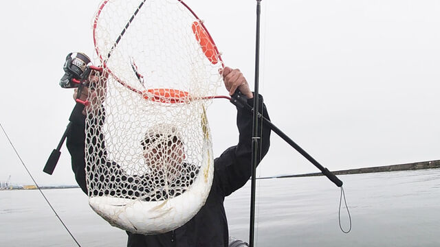 秋田港青物祭り ダイソー6ftロッドテスト Ken S Industry スモールボートブログ