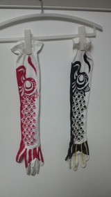 koi_arm