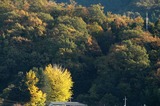 山里