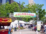 フラワーフェスティバル3