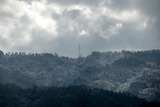 雪が降りました