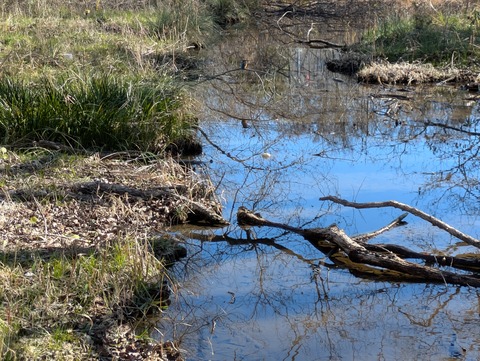 PXL_20260104_030913322