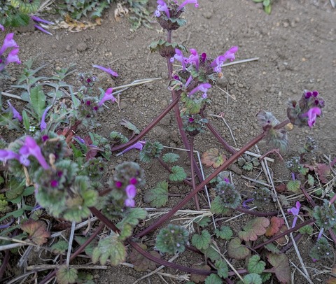 PXL_20260223_020628899