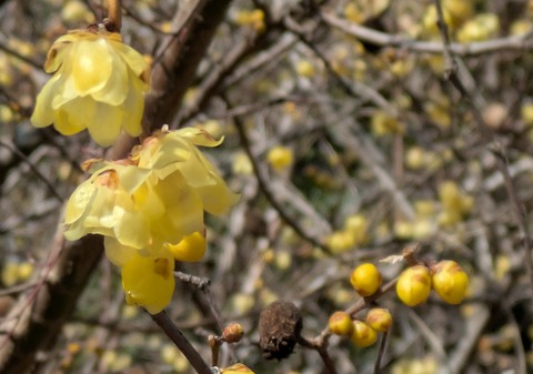 PXL_20260223_014259315