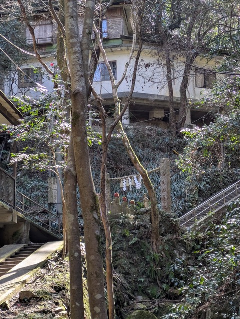 PXL_20260301_032926264