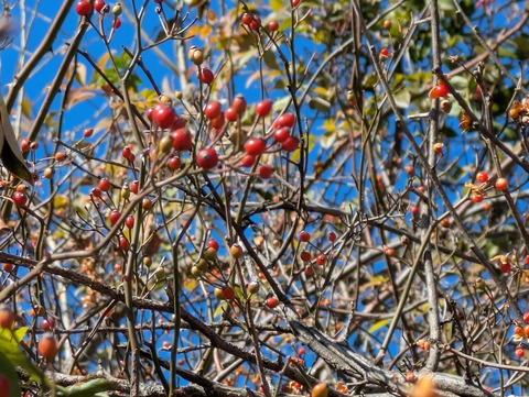 PXL_20260104_023716675