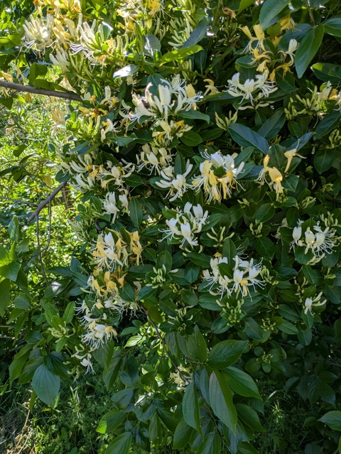 PXL_20260505_035420809