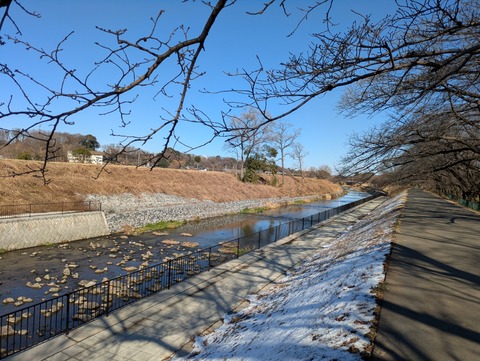 PXL_20260104_033139779