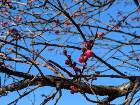 PXL_20260104_033729454