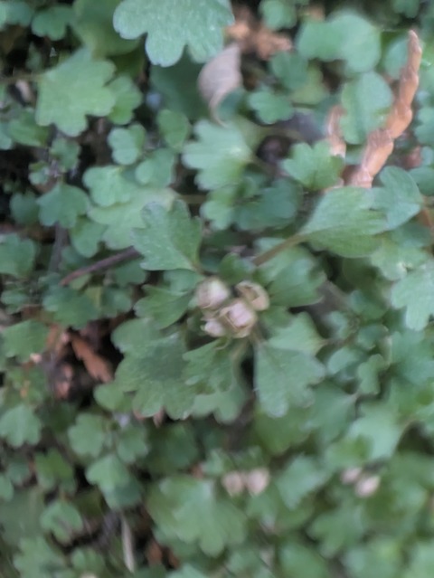 PXL_20260301_033106320