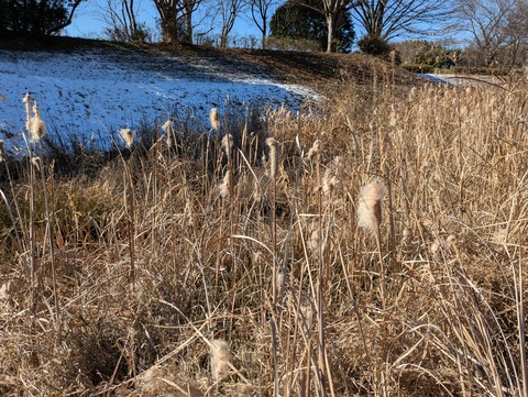 PXL_20260104_030545045