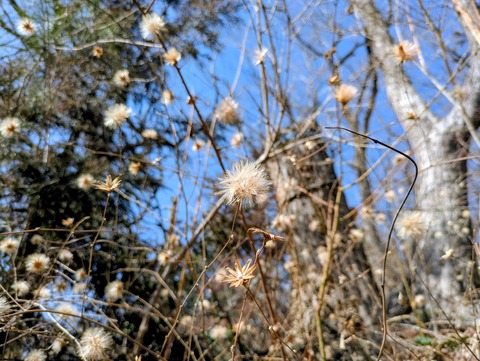 PXL_20260301_020320045~3