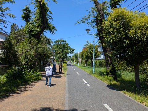 PXL_20260505_014736450