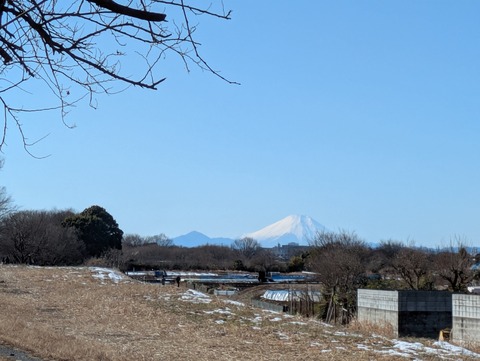 PXL_20260104_024722191