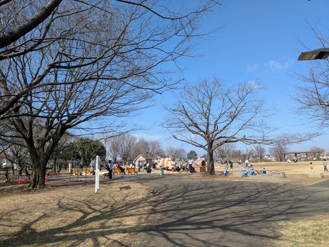 PXL_20260223_012116419