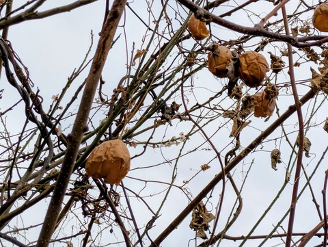 PXL_20260226_032315630~2