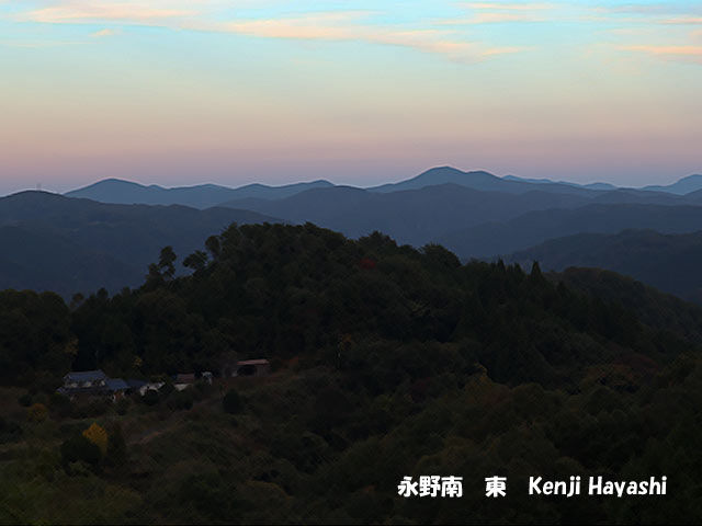 山の自然と生き物のブログ : 南の東