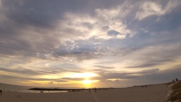 DSC_0161