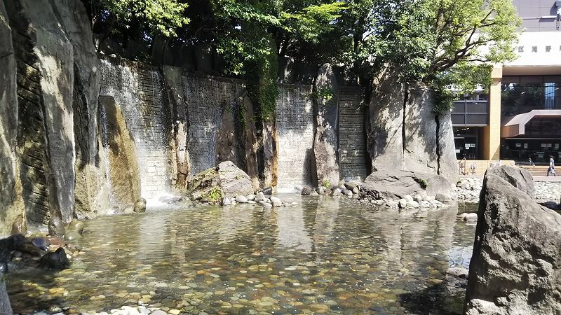 8月11日 滝野川公園 遠足の部屋 8月11日 滝野川公園 遠足の部屋