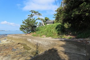 IMG_1074