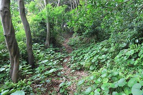 IMG_0576