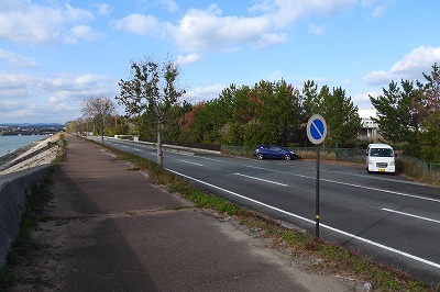 DSCN0248