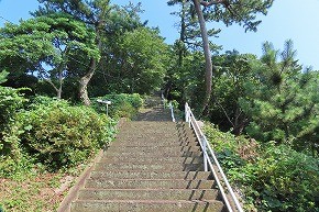 IMG_0990